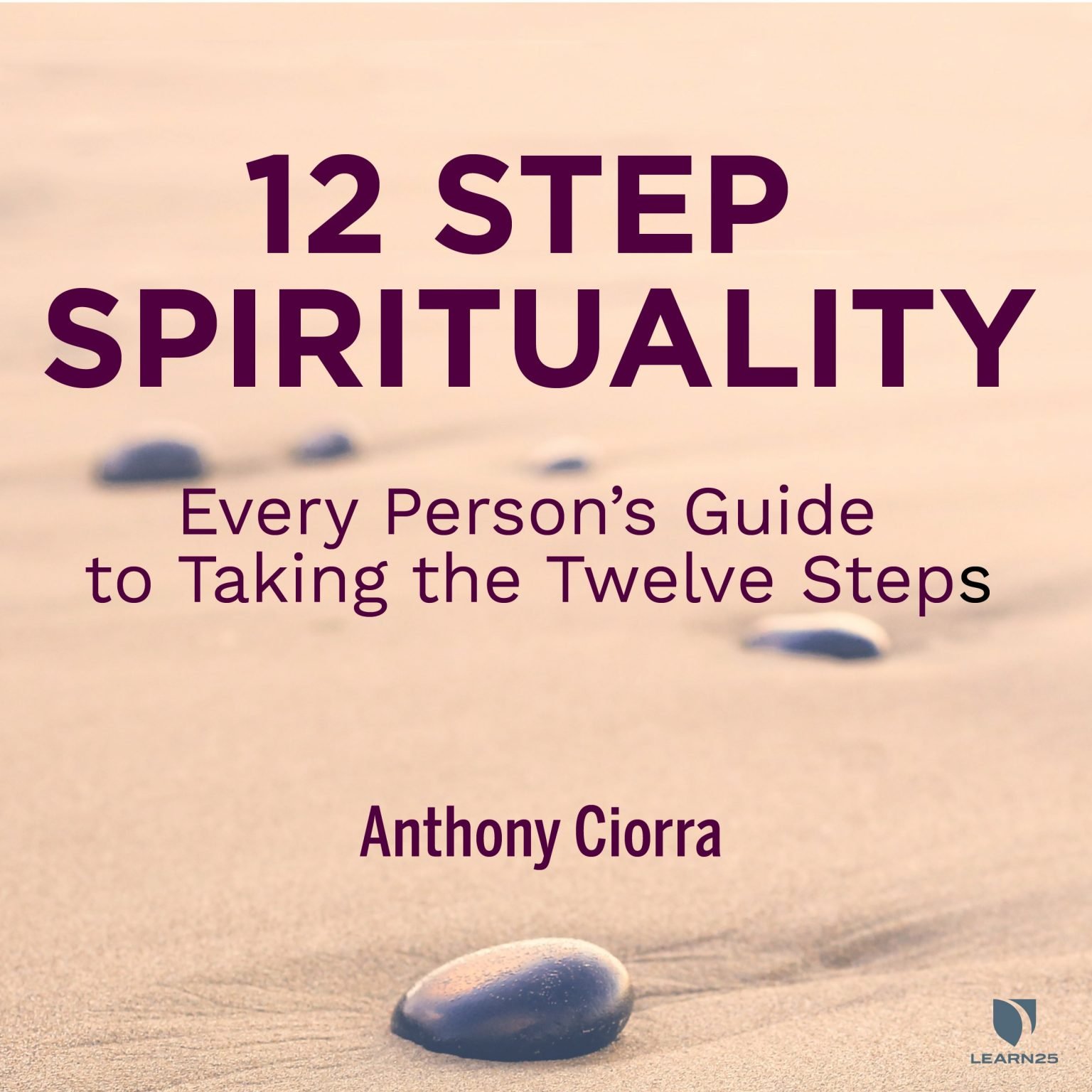 12 Step Spirituality Every Persons Guide To Taking The Twelve Steps