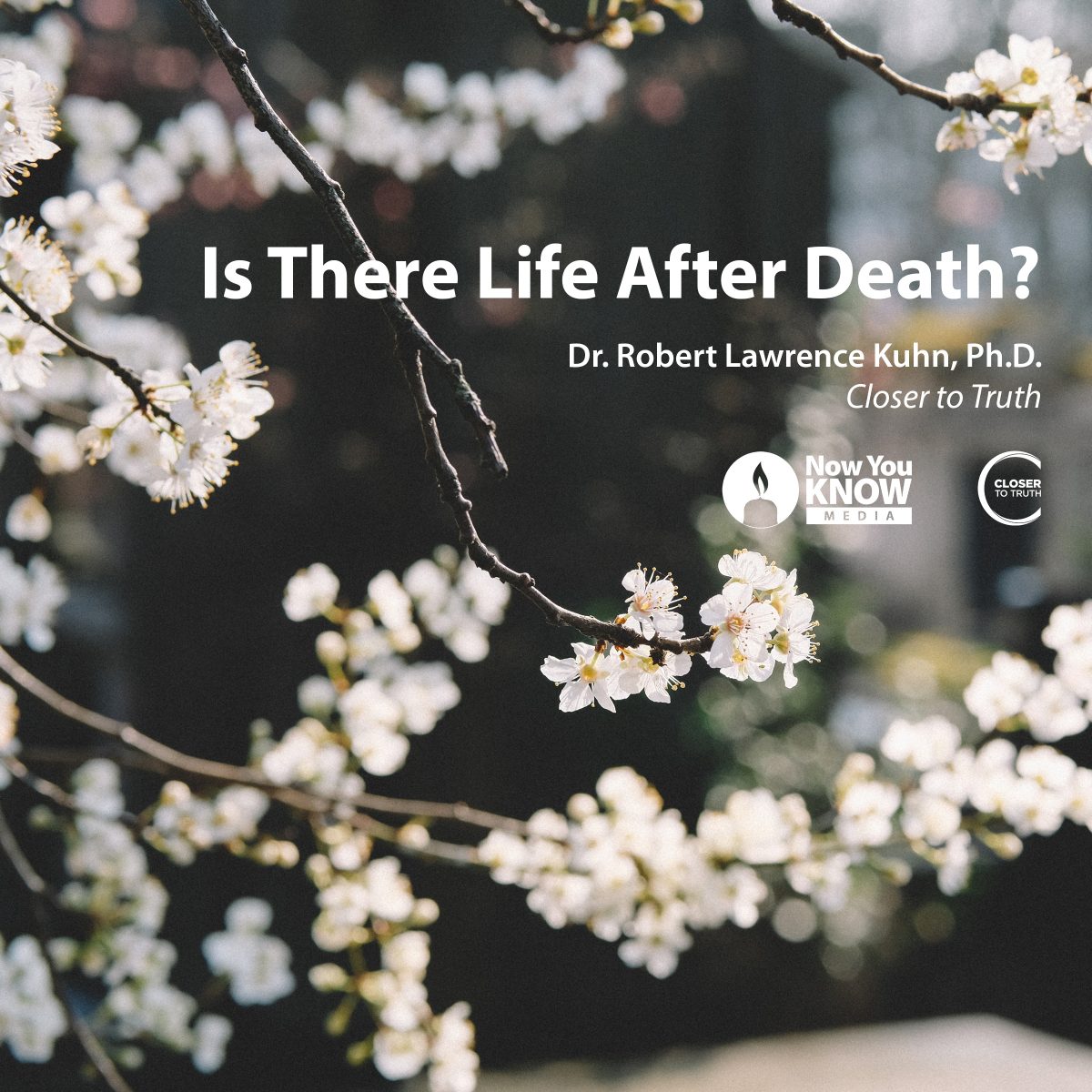 Is There Life After Death? | LEARN25