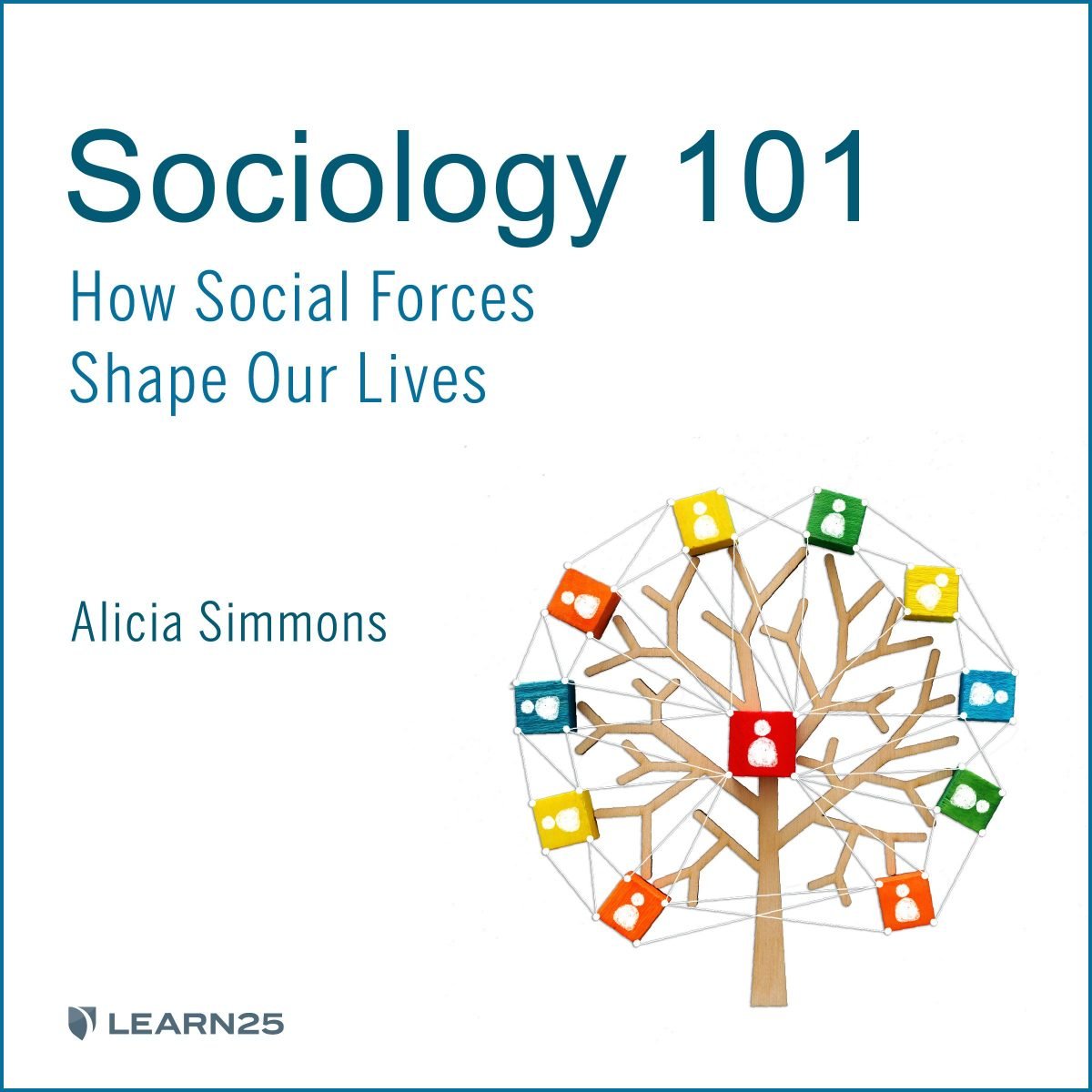 sociology-101-how-social-forces-shape-our-lives-audio-course-by-learn25