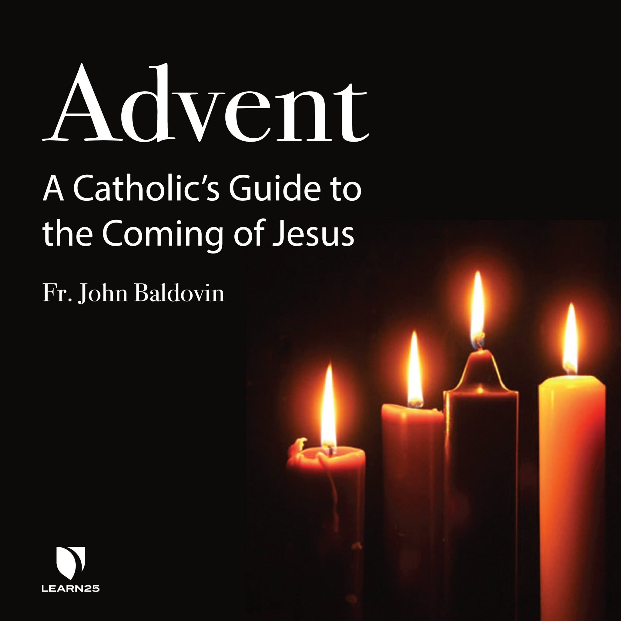 advent-a-catholic-s-guide-to-the-coming-of-jesus-learn25