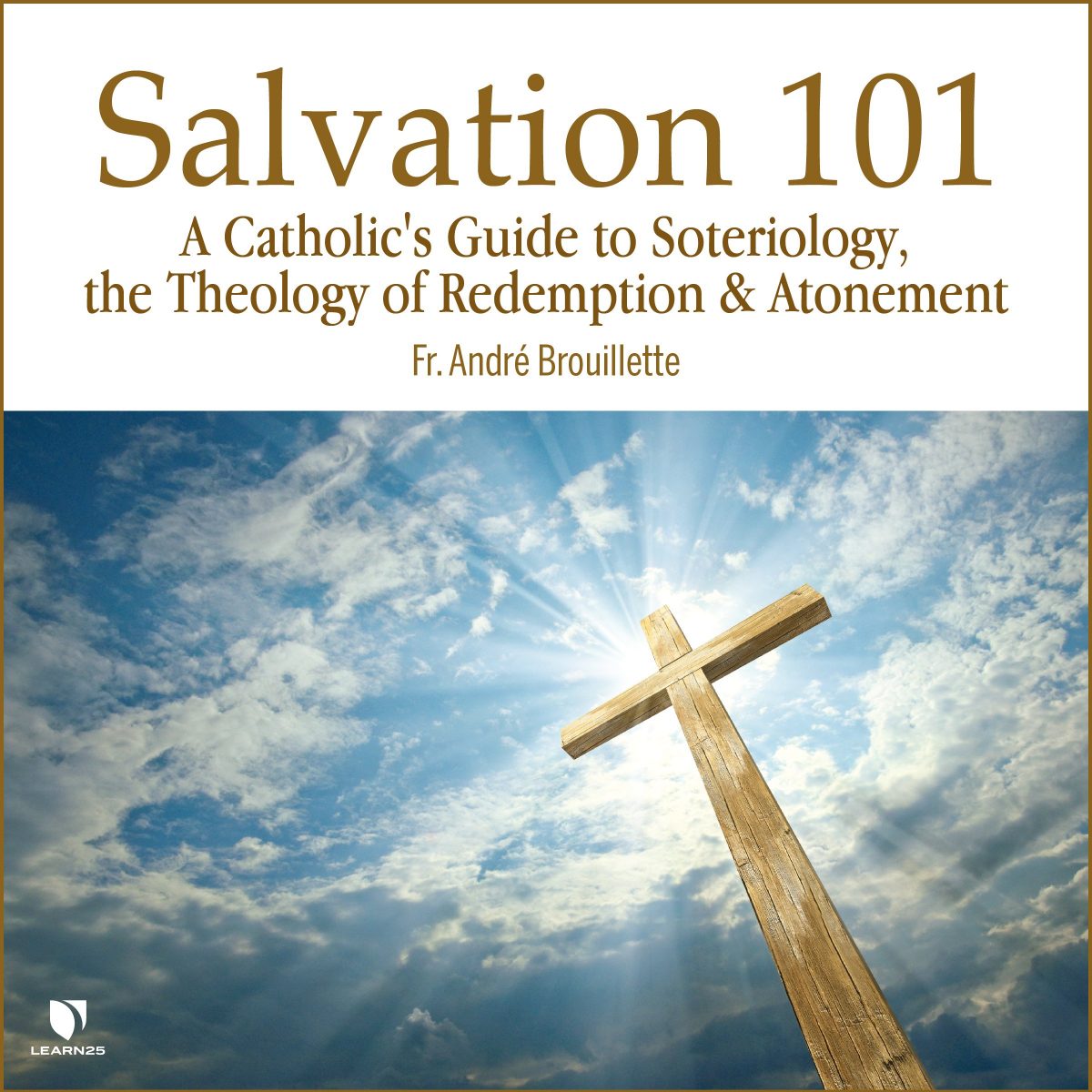 Salvation 101: A Catholic's Guide To Soteriology, The Theology Of ...