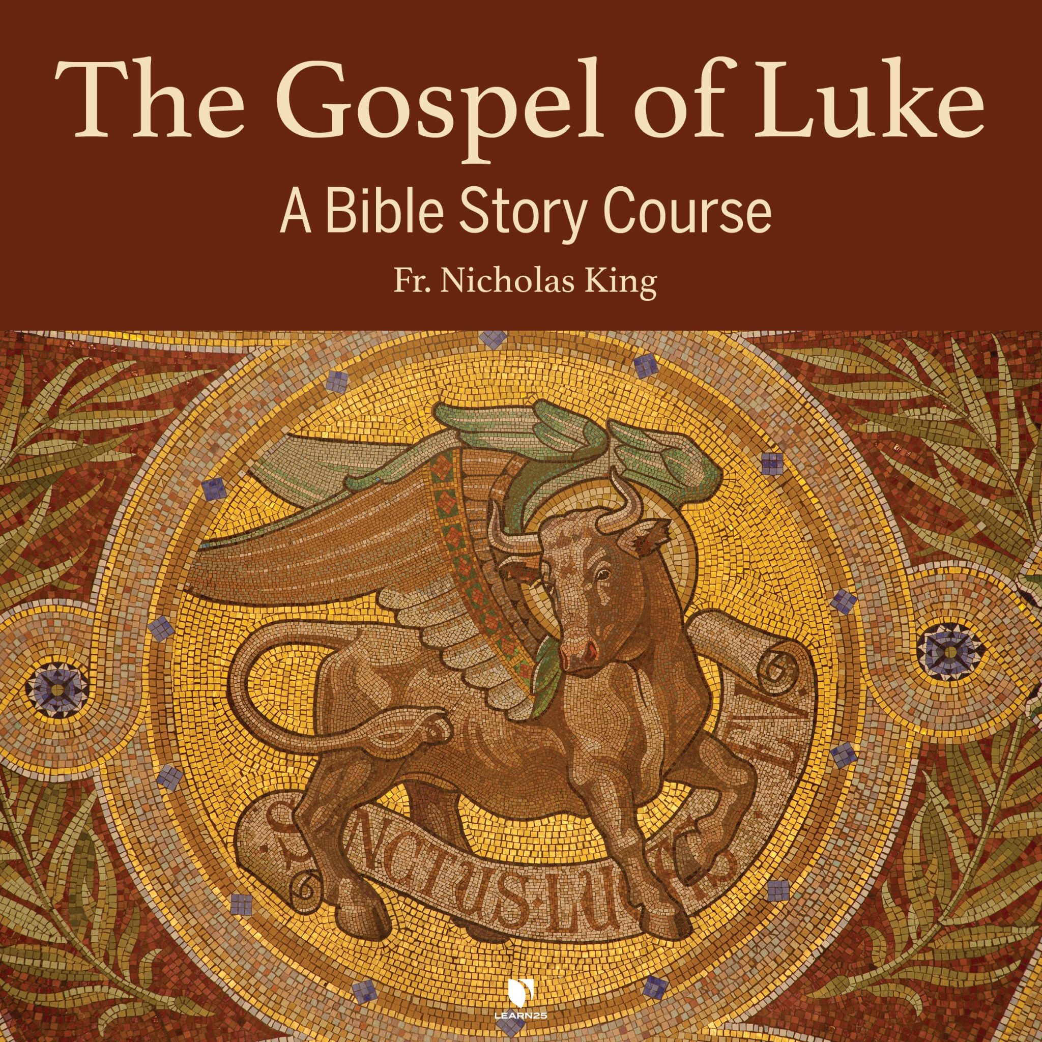 The Gospel Of Luke A Bible Story Course LEARN25