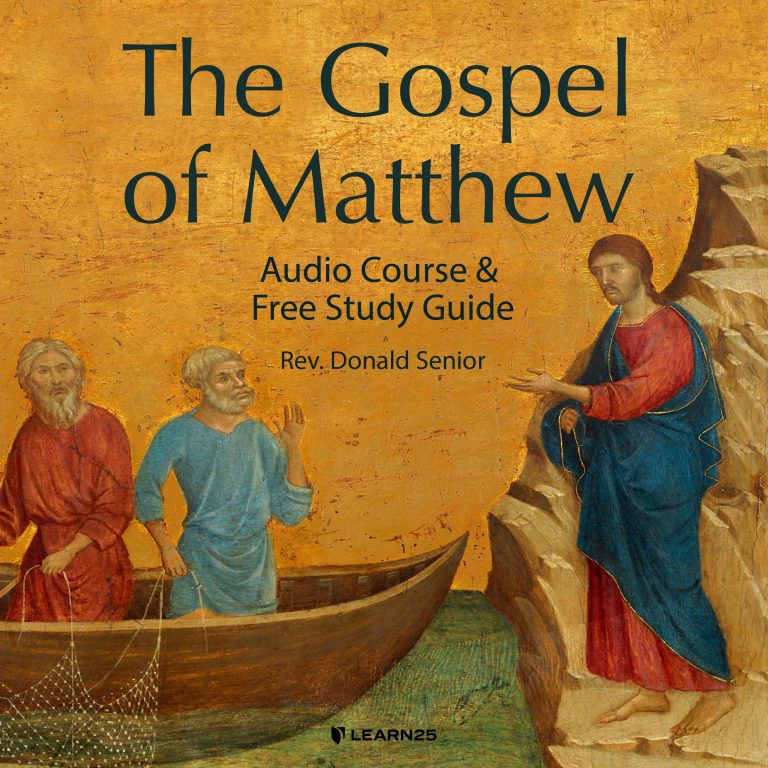 book of matthew bible study guide