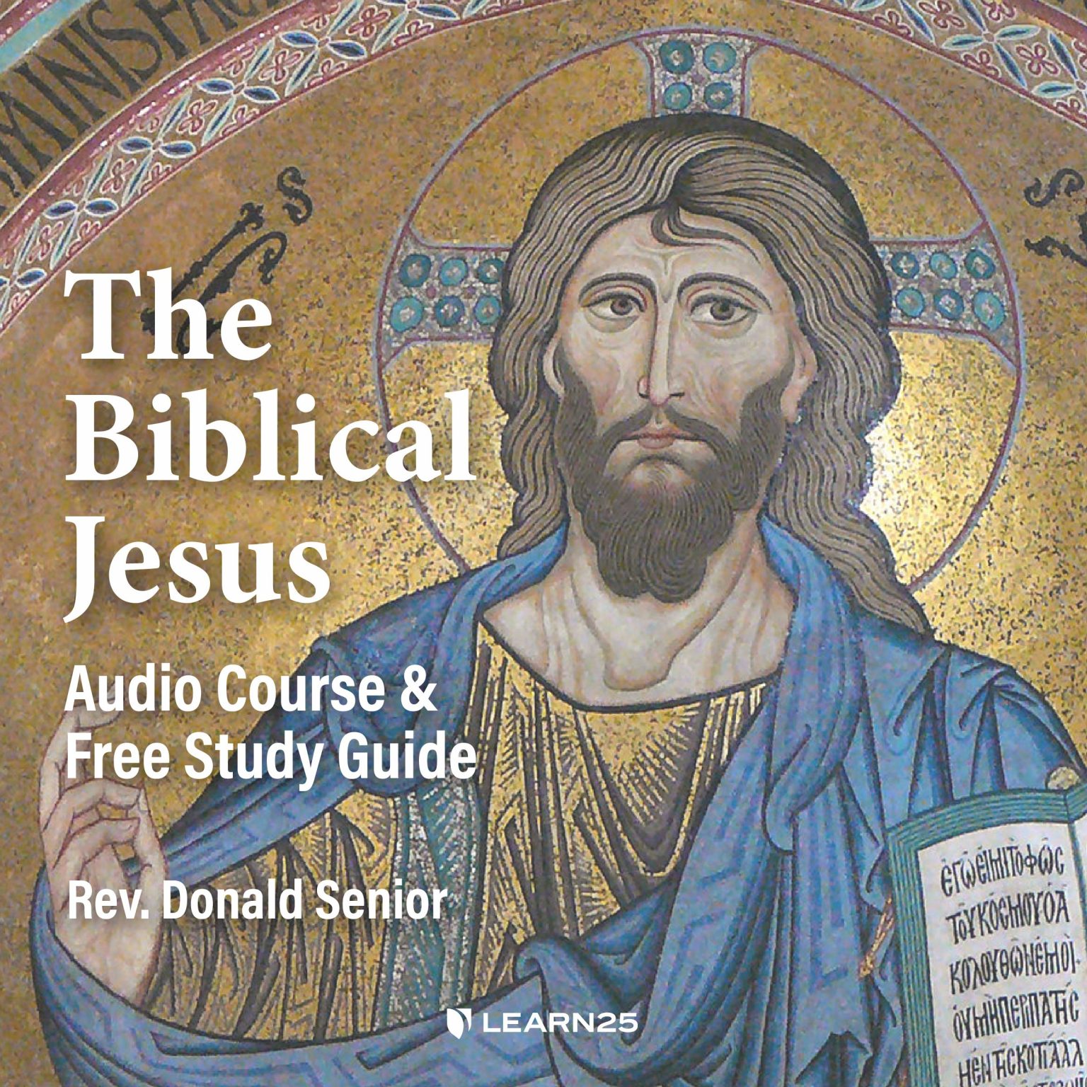 The Biblical Jesus: Audio Course & Free Study Guide taught by Rev ...